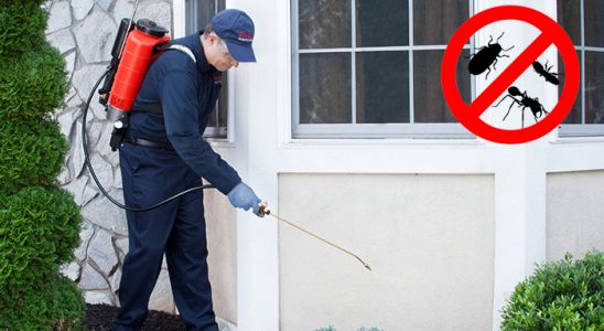Tavas Hamam Böceği İlaçlama böcek ilaçlama ve haşere kontrolü — ilaclama-tr.com
